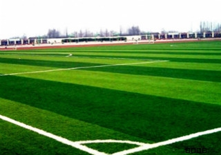 足球場(chǎng)人造草坪/仿真草皮